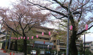 070409a.JPG