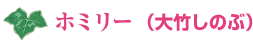 ホミリー(大竹しのぶ)